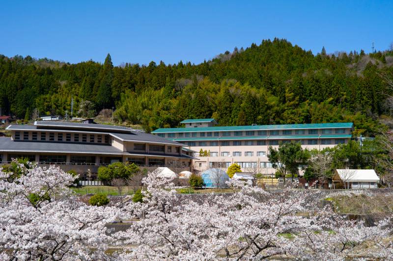 桜と花桃が見頃です！